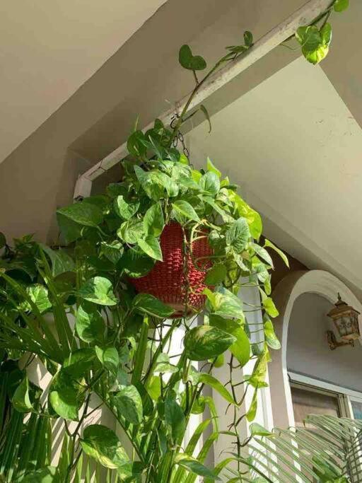 Furnished Villa Near Airport, Away From City Bhopal Exterior photo